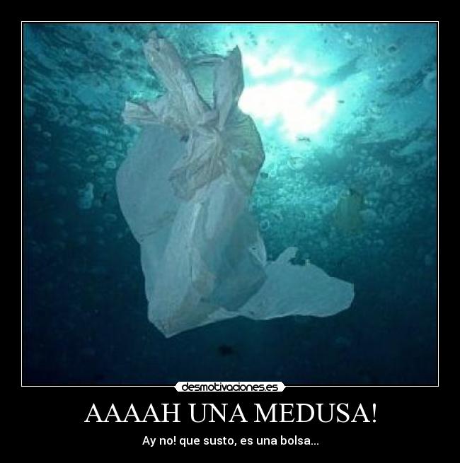 AAAAH UNA MEDUSA! - Ay no! que susto, es una bolsa...