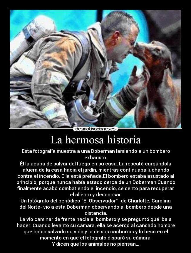La hermosa historia -