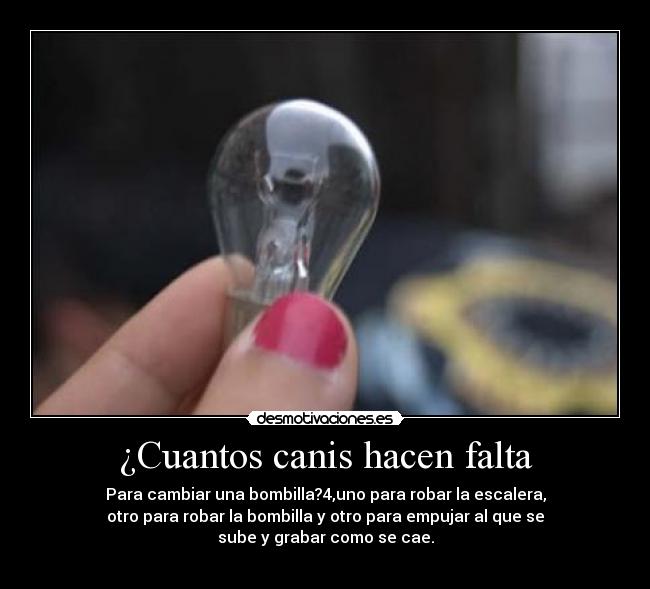 carteles canibombillaescalera desmotivaciones