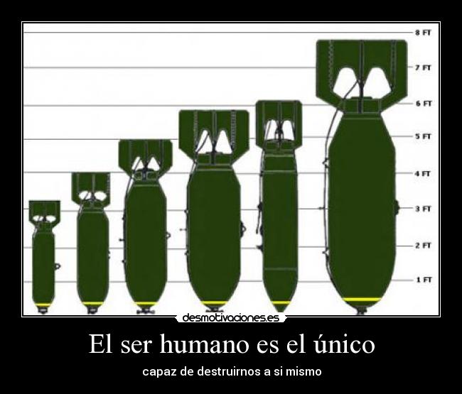 carteles bombas desmotivaciones