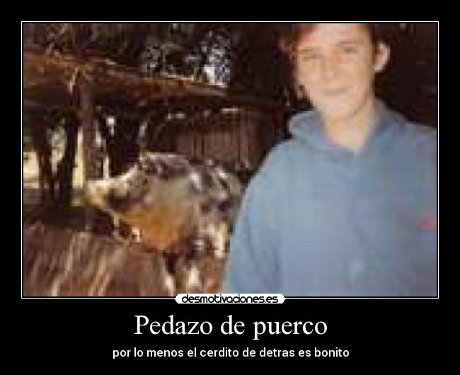 Pedazo de puerco - por lo menos el cerdito de detras es bonito