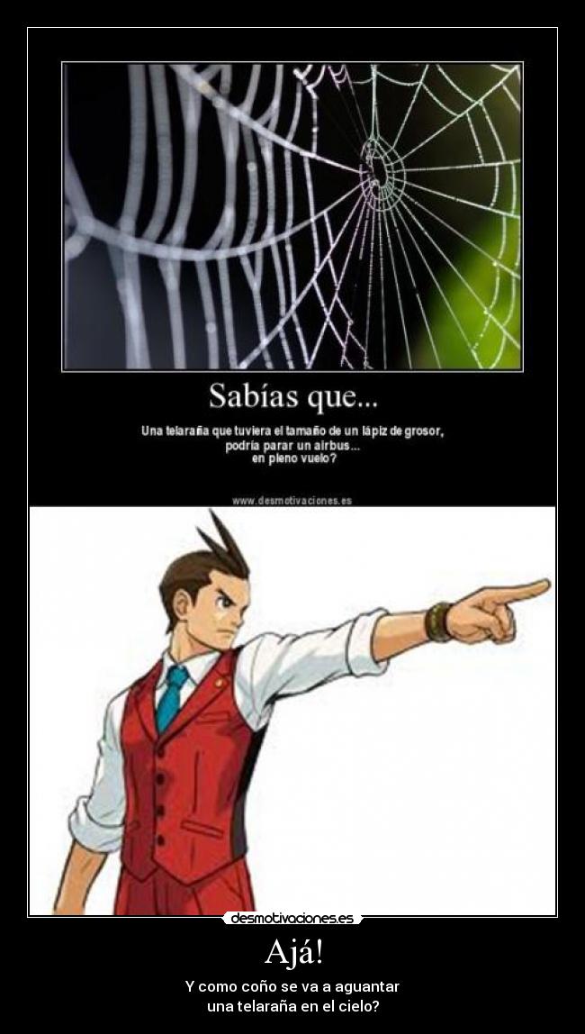 Ajá! - Y como coño se va a aguantar
una telaraña en el cielo?