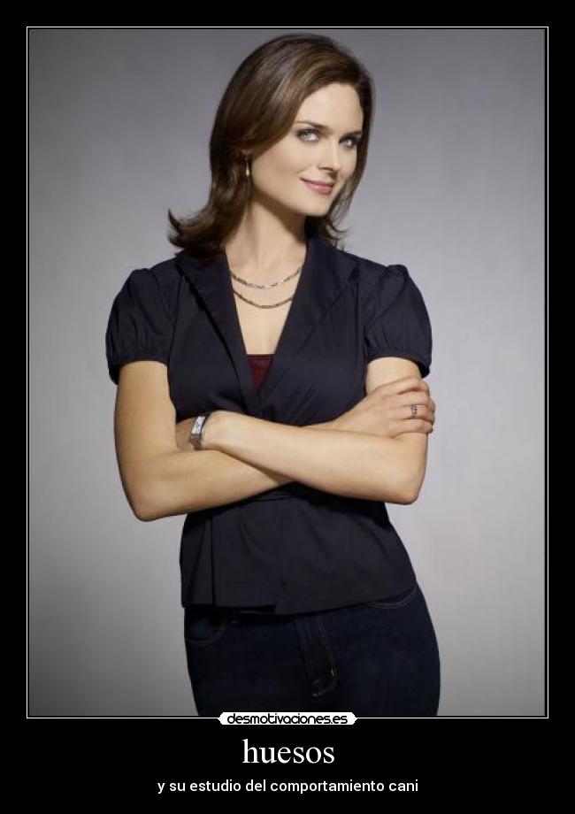 huesos - y su estudio del comportamiento cani