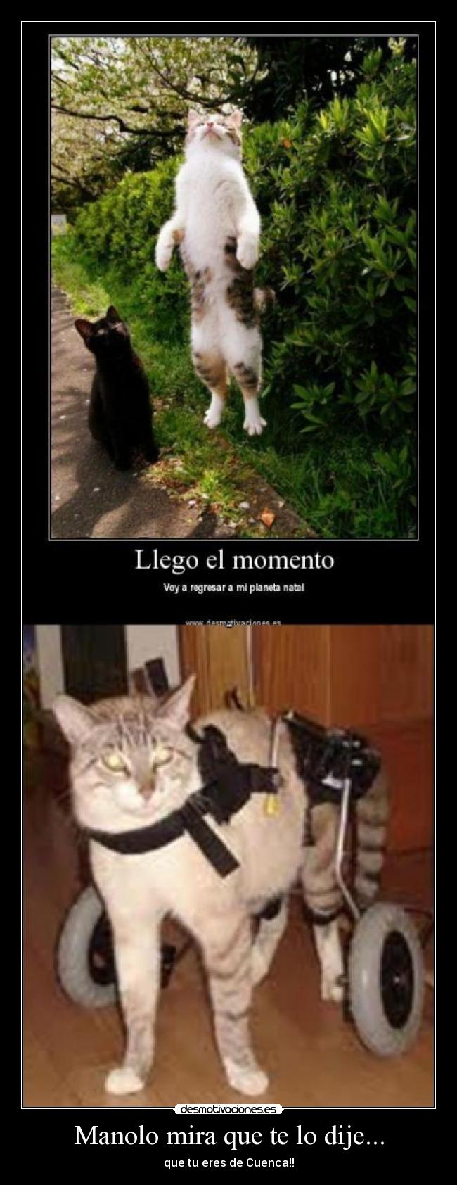 Manolo mira que te lo dije... -