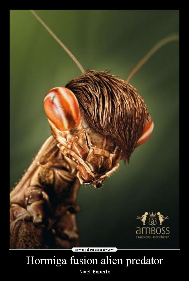 carteles nene13 desmotivaciones