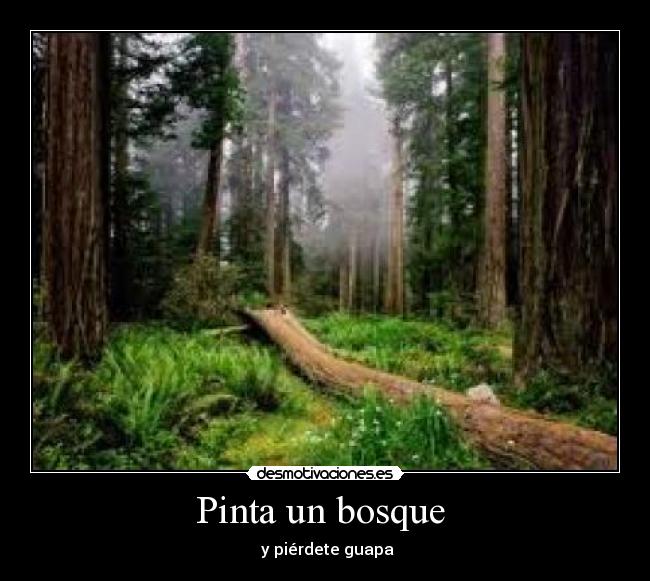 Pinta un bosque  -  y piérdete guapa