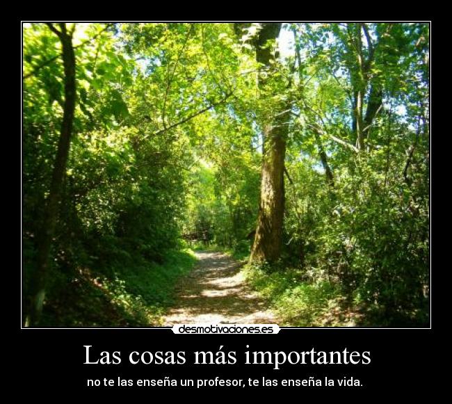 Las cosas más importantes - no te las enseña un profesor, te las enseña la vida.