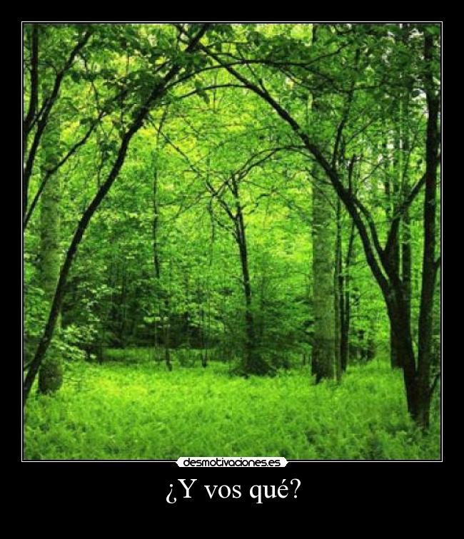 ¿Y vos qué? - 