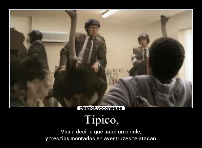 Típico, - Vas a decir a que sabe un chicle,
y tres tios montados en avestruzes te atacan.