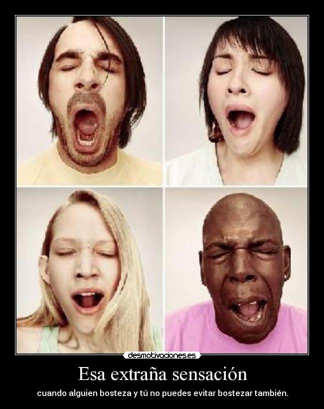 Esa extraña sensación - cuando alguien bosteza y tú no puedes evitar bostezar también.