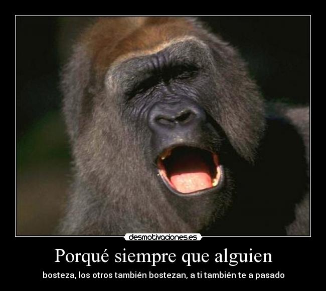 Porqué siempre que alguien - bosteza, los otros también bostezan, a ti también te a pasado