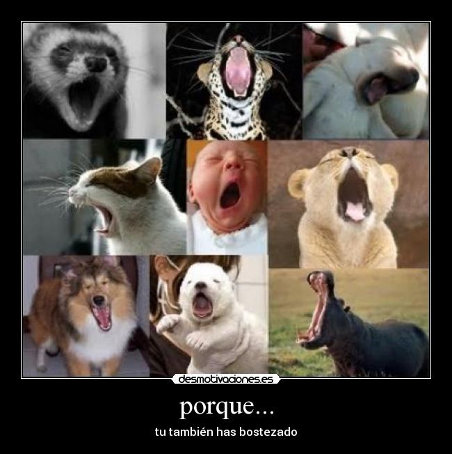 porque... - tu también has bostezado