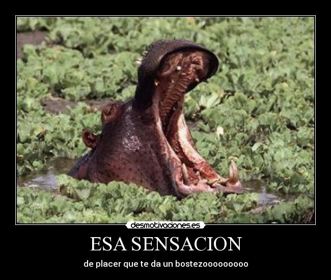ESA SENSACION - de placer que te da un bostezooooooooo