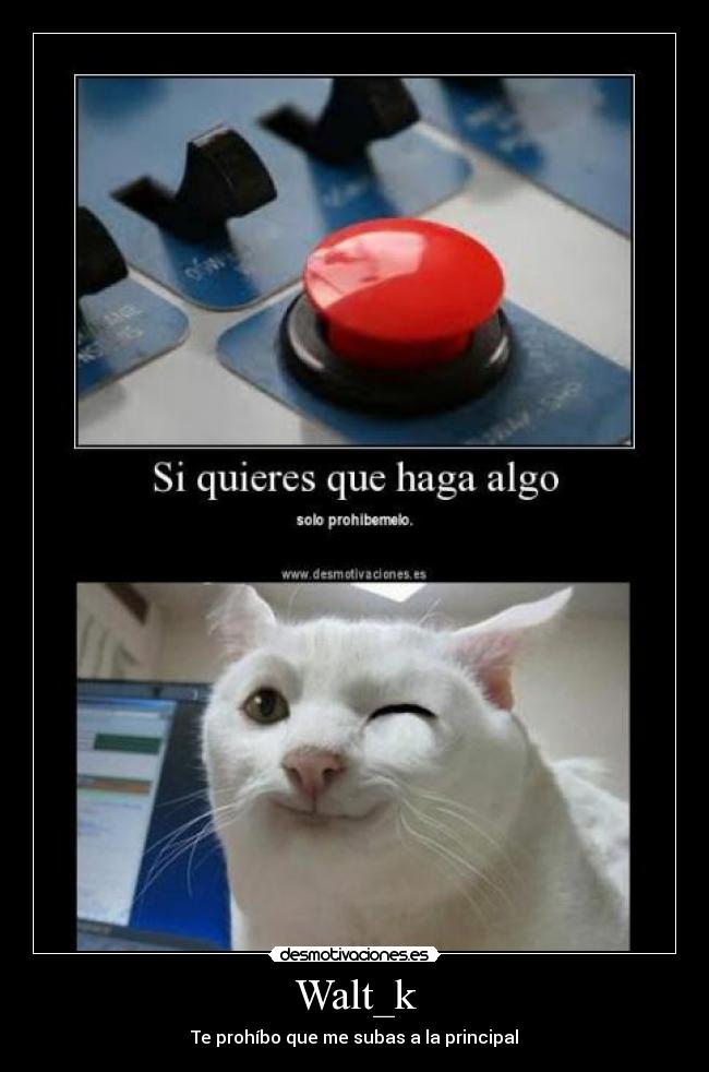Walt_k - Te prohíbo que me subas a la principal