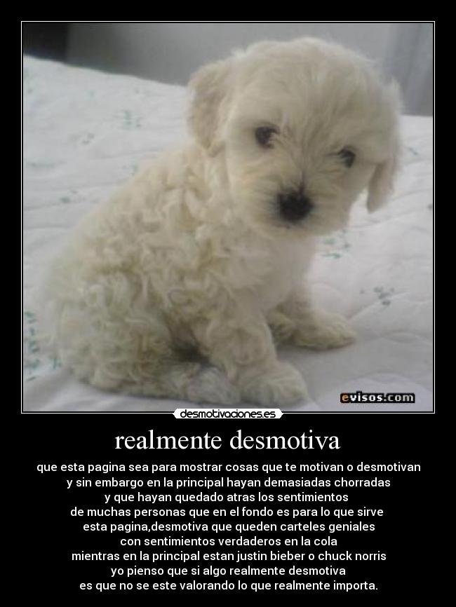 realmente desmotiva - 