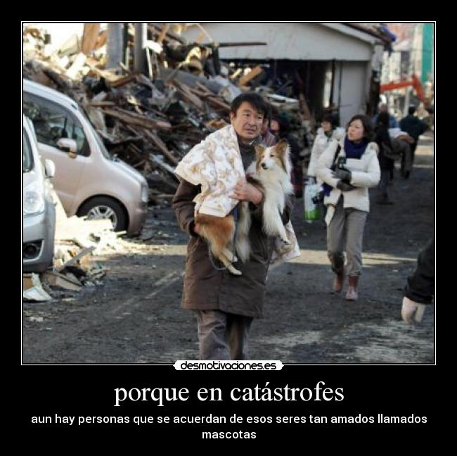 porque en catástrofes -