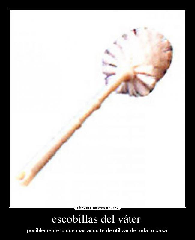 escobillas del váter - posiblemente lo que mas asco te de utilizar de toda tu casa