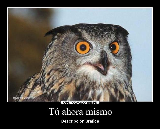 carteles tu ahora mismo descripcion grafica desmotivaciones