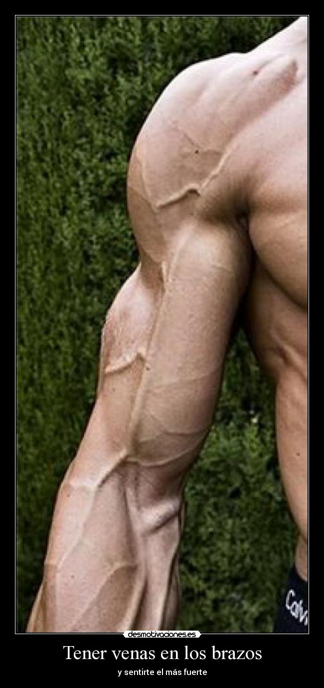 Tener venas en los brazos -