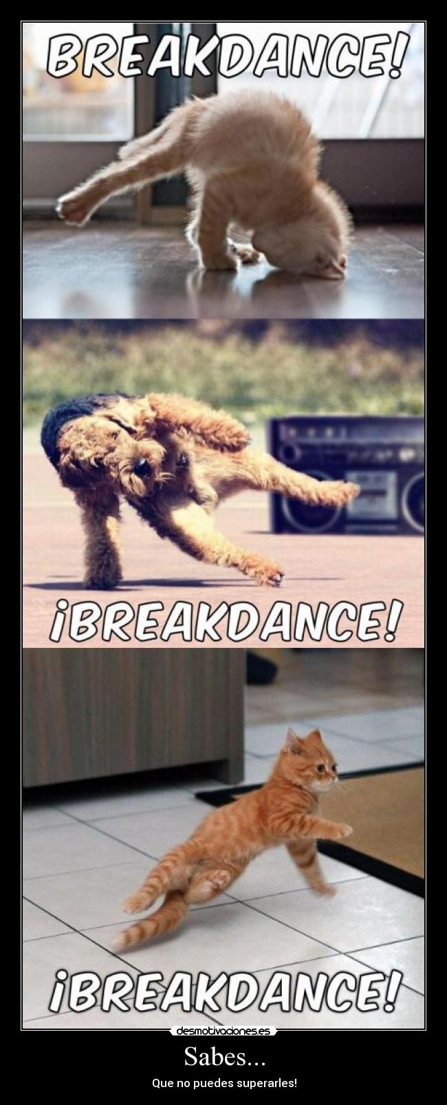 Sabes... - Que no puedes superarles!