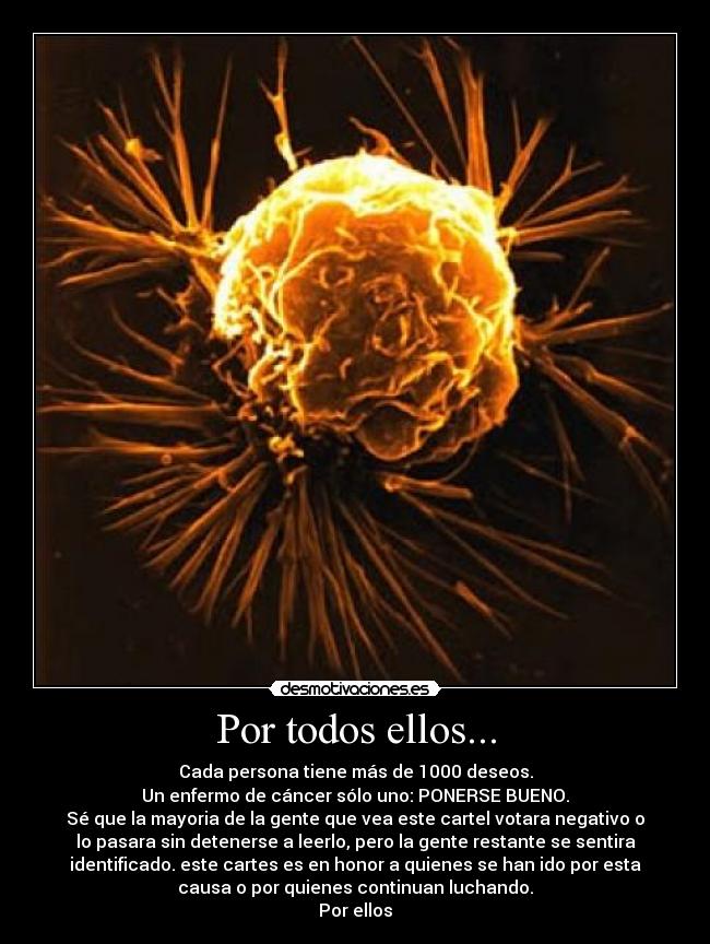 Por todos ellos... - Cada persona tiene más de 1000 deseos.
Un enfermo de cáncer sólo uno: PONERSE BUENO.
Sé que la mayoria de la gente que vea este cartel votara negativo o
lo pasara sin detenerse a leerlo, pero la gente restante se sentira
identificado. este cartes es en honor a quienes se han ido por esta
causa o por quienes continuan luchando.
Por ellos