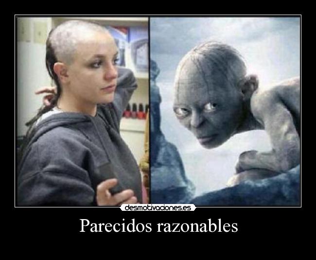 Parecidos razonables -