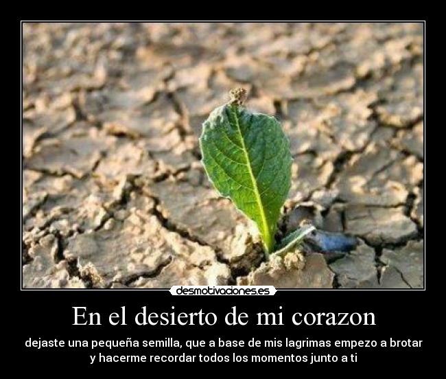 carteles corazon brote desmotivaciones