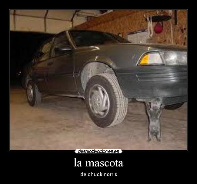 la mascota -