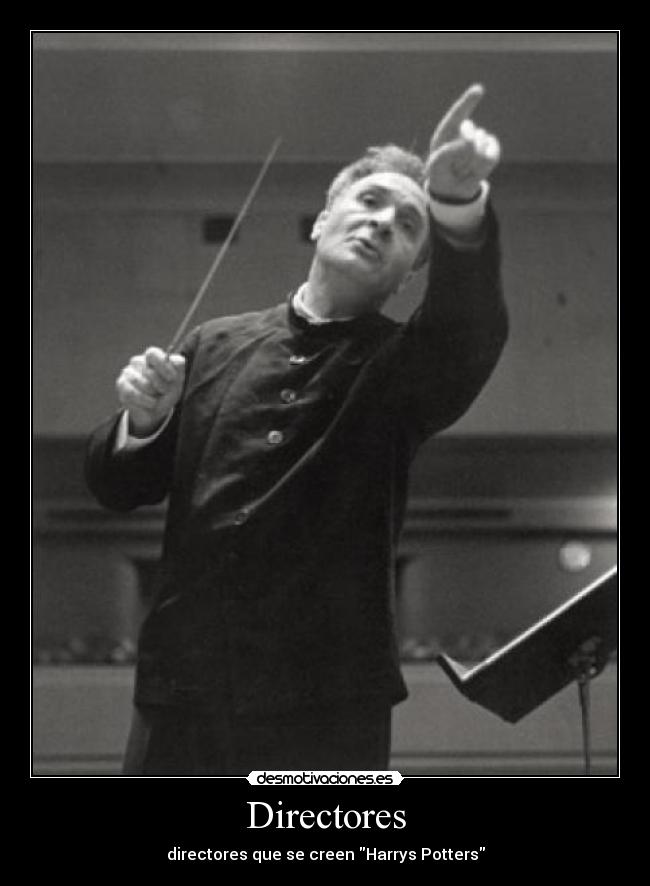 Directores - directores que se creen Harrys Potters