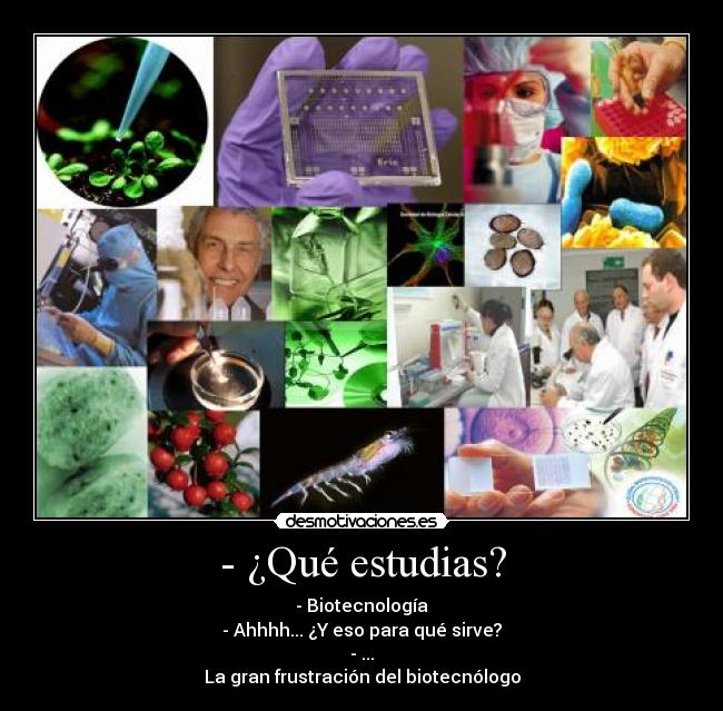 - ¿Qué estudias? - 