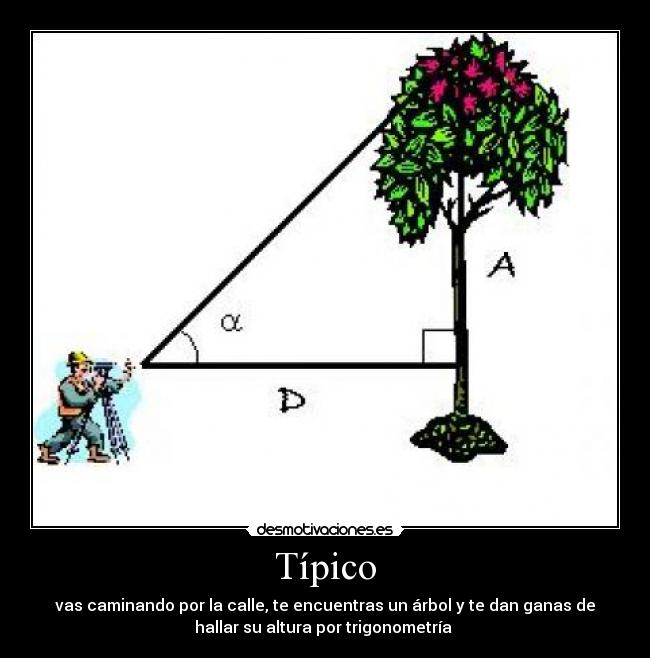 Típico - 