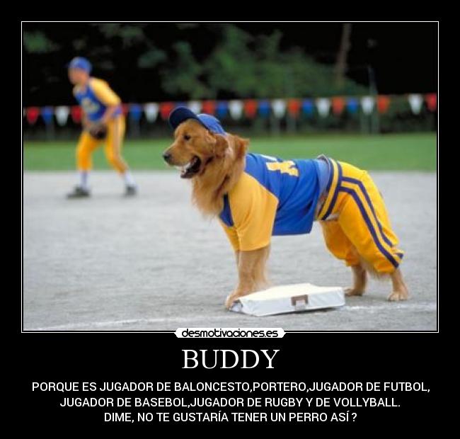 BUDDY -