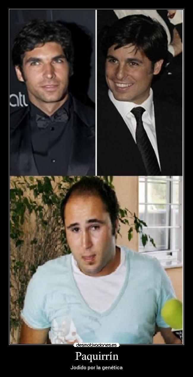 carteles genetica paquirrin desmotivaciones