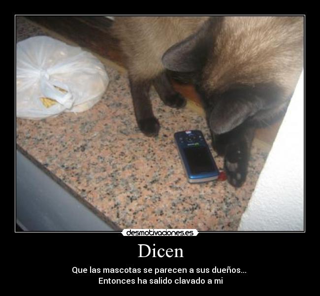 Dicen -