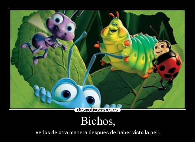 Bichos, - verlos de otra manera después de haber visto la peli.