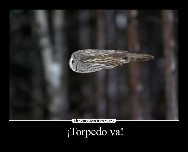 ¡Torpedo va! -