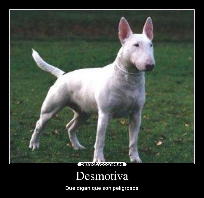 Desmotiva - 