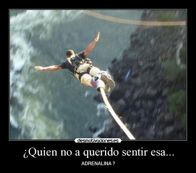 ¿Quien no a querido sentir esa... - ADRENALINA ?