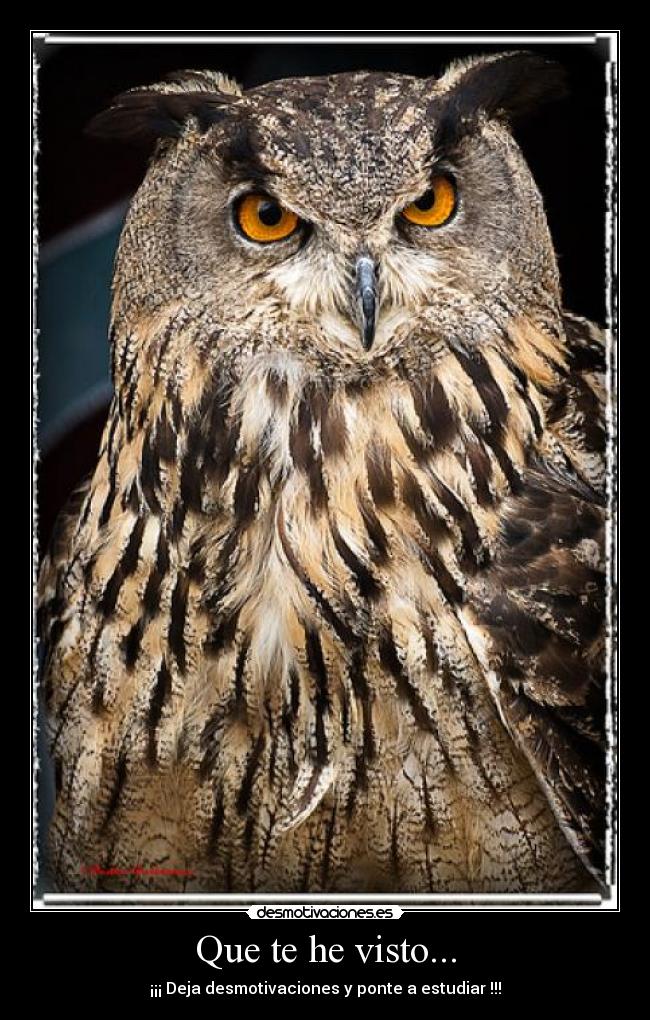 Que te he visto... - ¡¡¡ Deja desmotivaciones y ponte a estudiar !!!