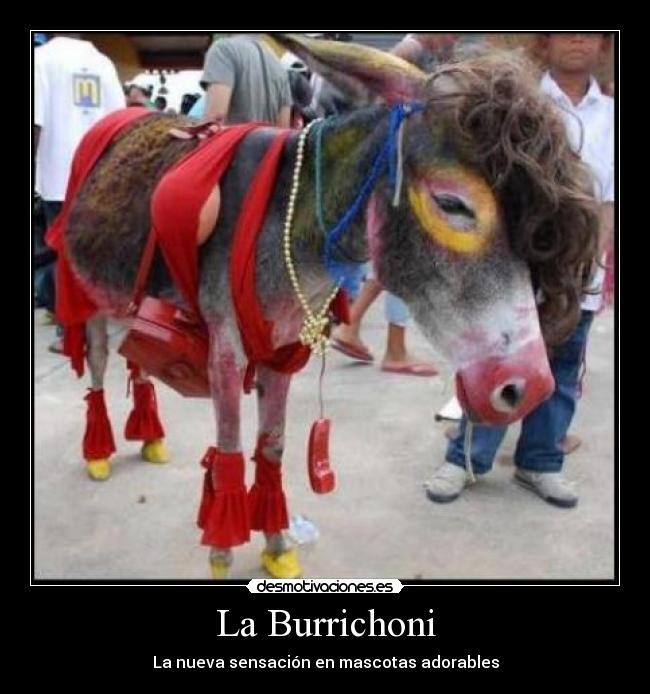 La Burrichoni - 