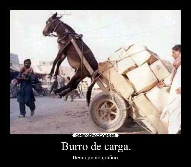 Burro de carga. - 