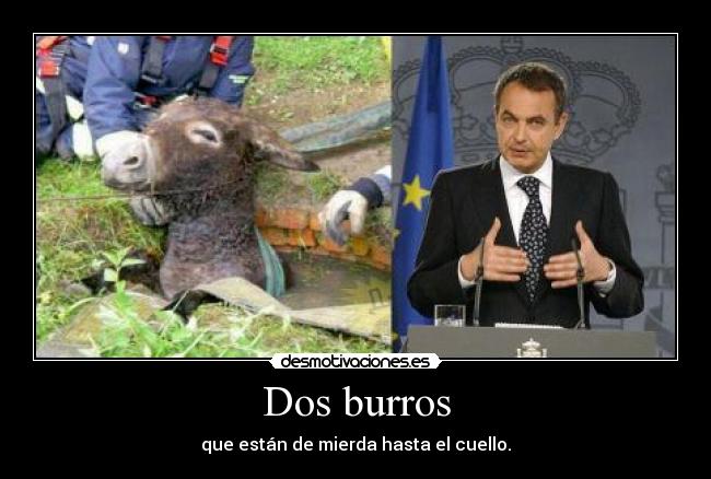 Dos burros - que están de mierda hasta el cuello.