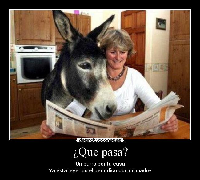 ¿Que pasa? - Un burro por tu casa
Ya esta leyendo el periodico con mi madre