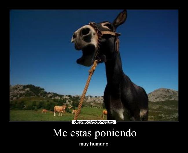 Me estas poniendo - muy humano!