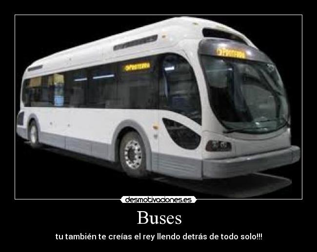 Buses - tu también te creías el rey llendo detrás de todo solo!!!
