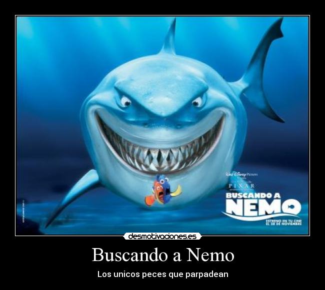 Buscando a Nemo - Los unicos peces que parpadean