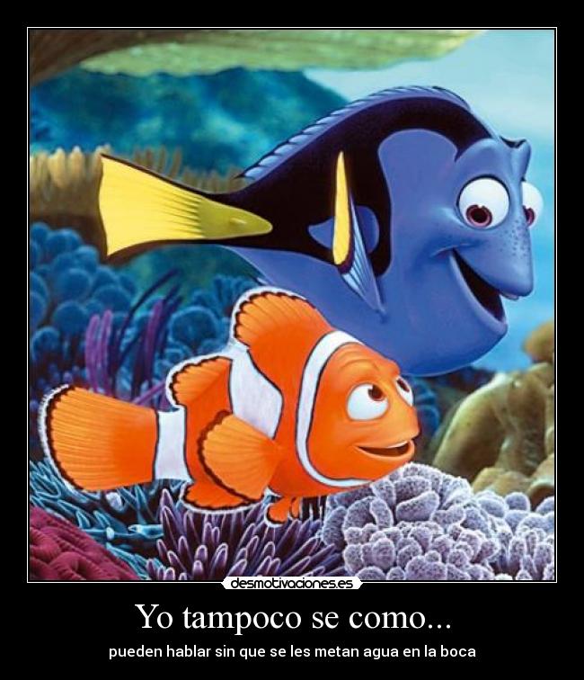 Yo tampoco se como... - 