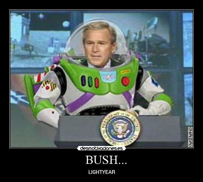 BUSH... -