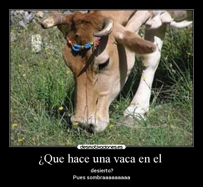 carteles vaca desmotivaciones