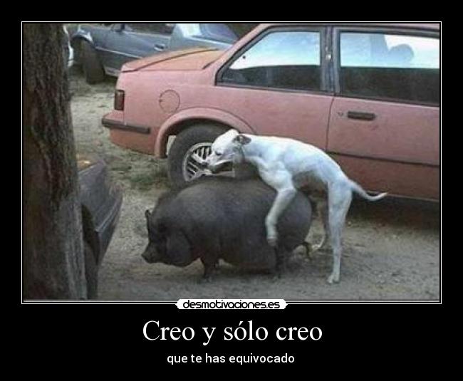 Creo y sólo creo - que te has equivocado